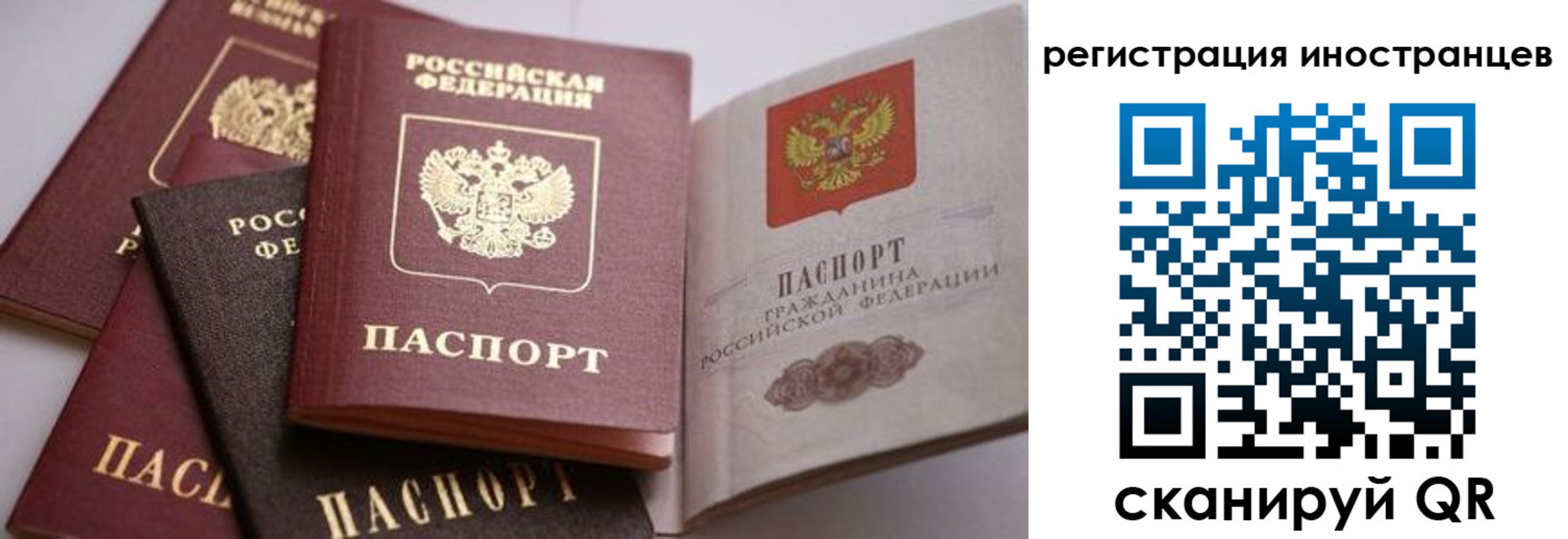 прописка штамп в Петухово